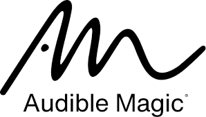 https://flukydigital.com/wp-content/uploads/2024/11/Audible_Magic_company_logo.png